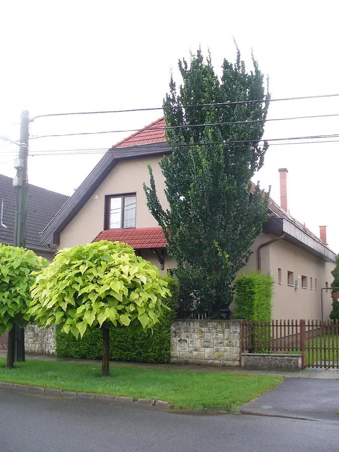 Arnika Vendeghaz Apartment Hajduszoboszlo Hungary